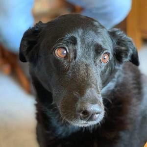 Meet your Posher, Jackie